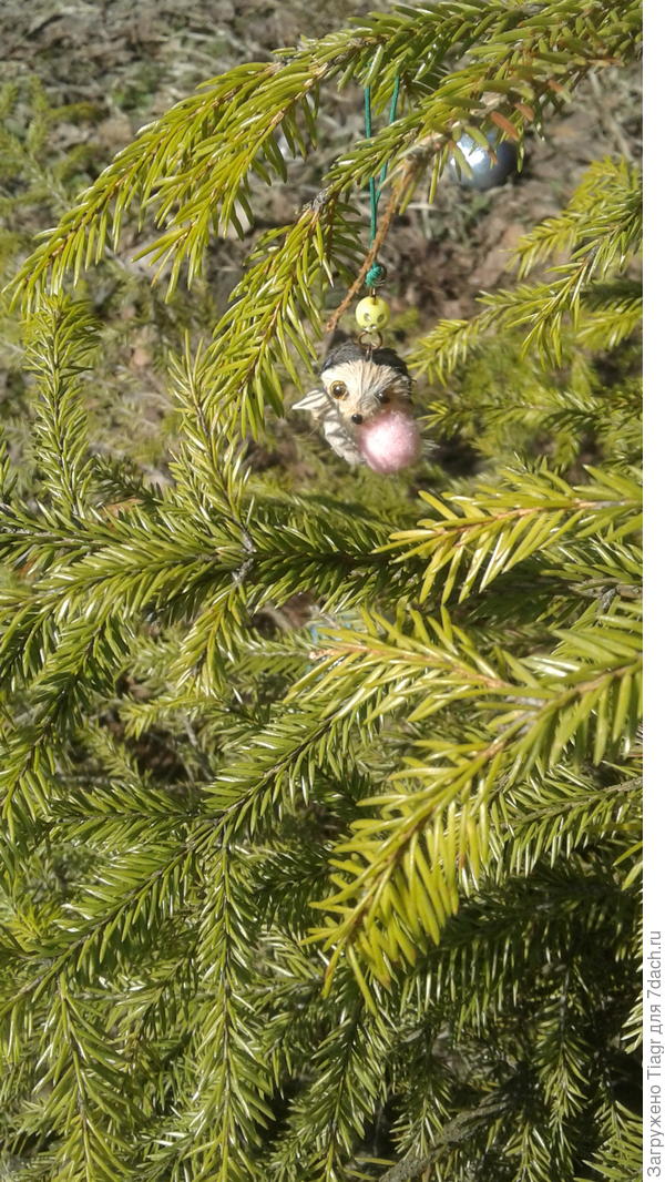 а это чудо висит на веточке и следит за порядком))))))))