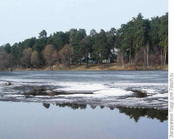 сегодняшний день))))