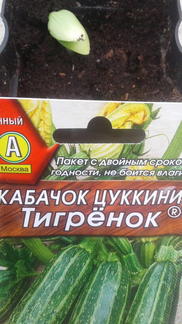 Дата снимка: 28 апреля.