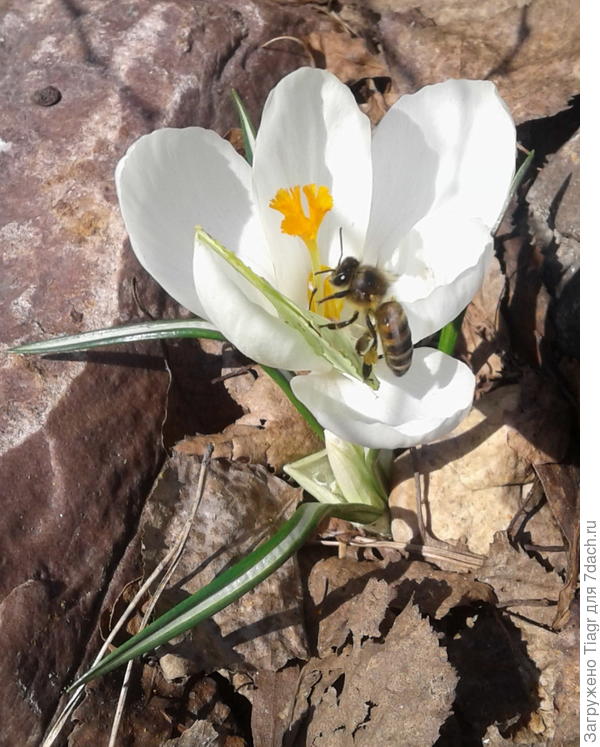 Чуть не подрались))))