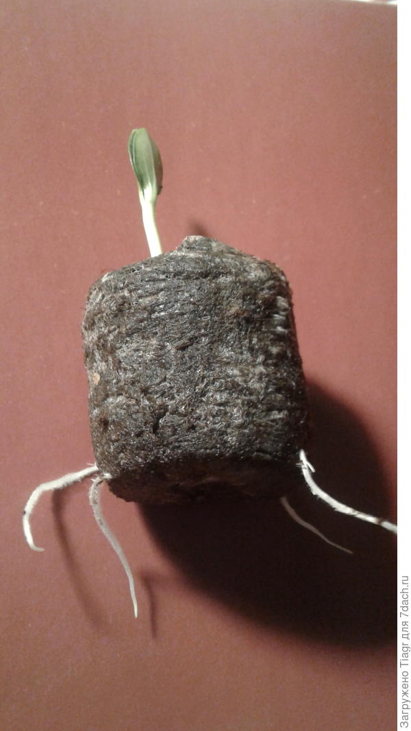 и что мне с ним делать?))))