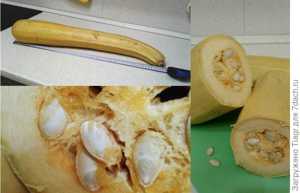 у него даже семена не проросли)))