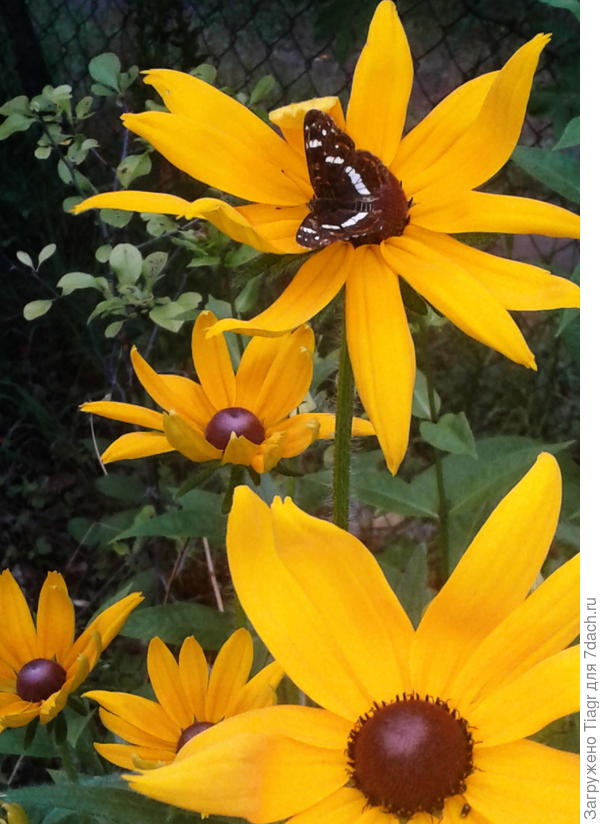 А лето продолжается)))