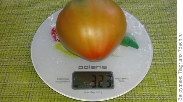 323 г