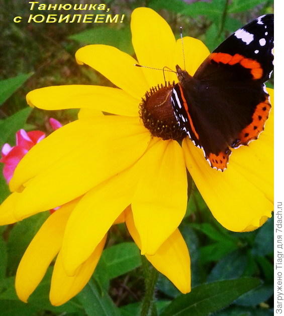 Ура! Ура! Ура!)))