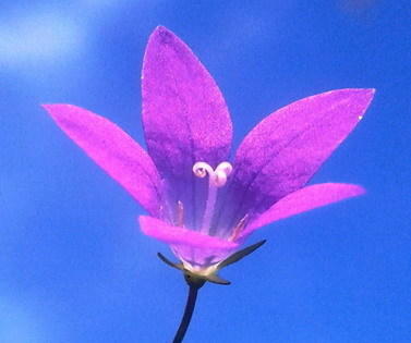 Специально для тебя сфотографировала)))) Привет с родных просторов)))