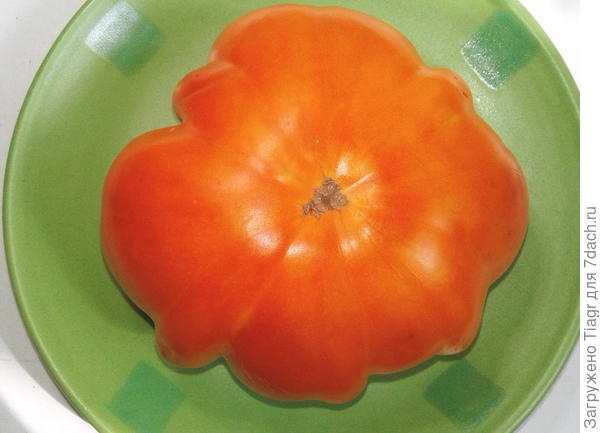 и вот он же сегодня - прошло 3 недели