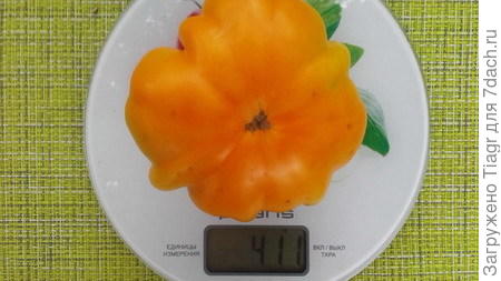 так он выглядел 25 июля