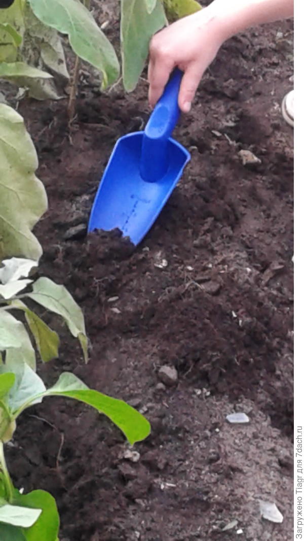 совок с мерными делениями