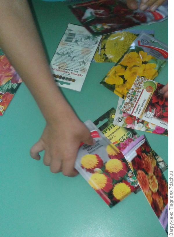 цветы на любой вкус))))