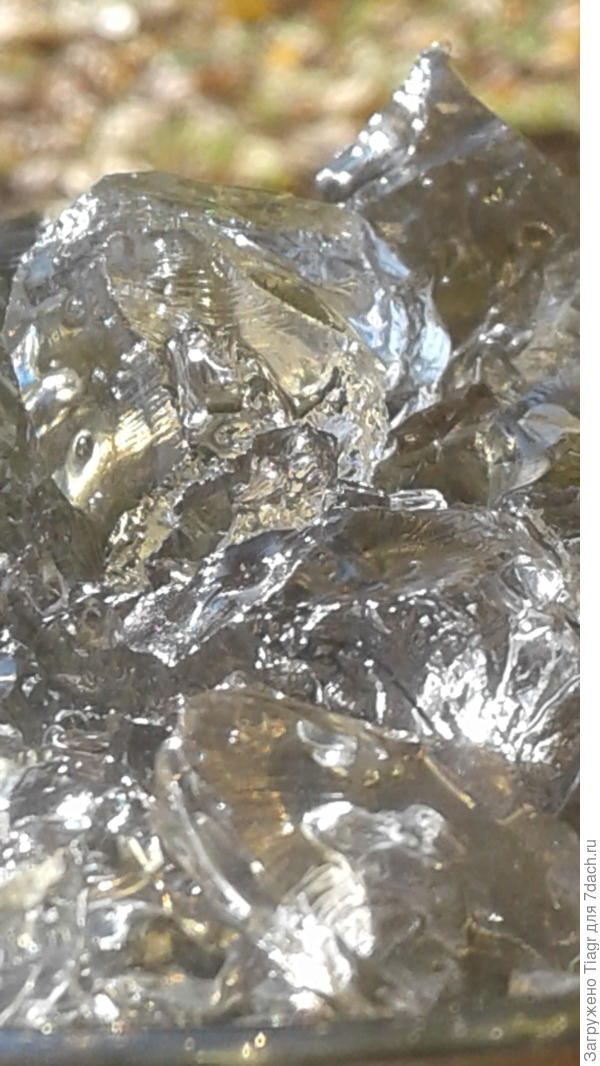 гидрогель удерживает воду и постепенно отдаёт её растениям