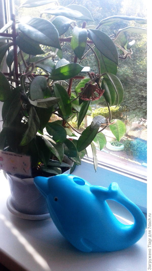 удобная и необычная)))