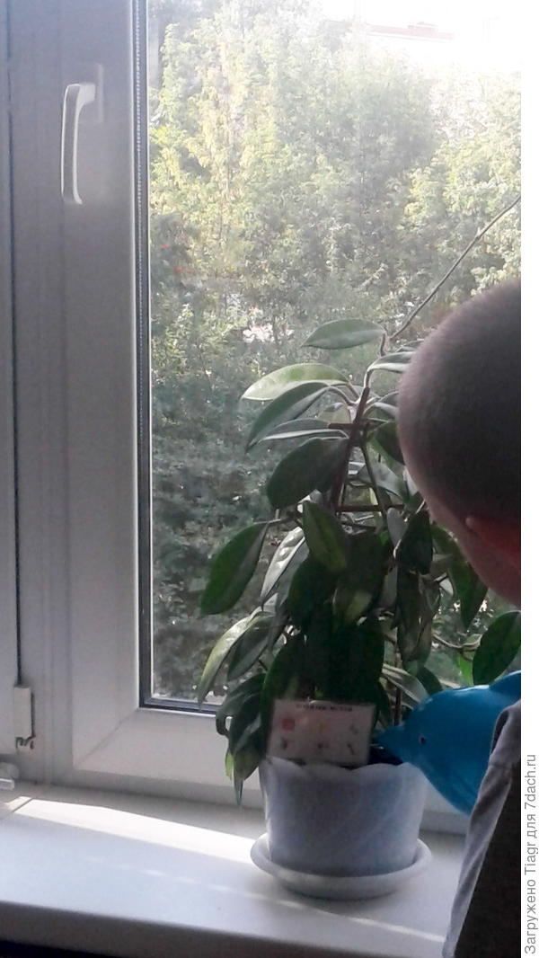 детям очень нравится)))