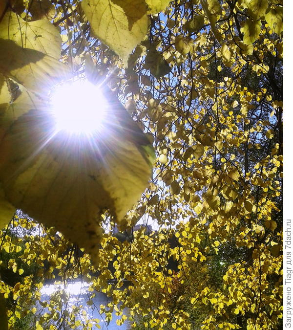 Солнышко засветило!!! на сайте)))