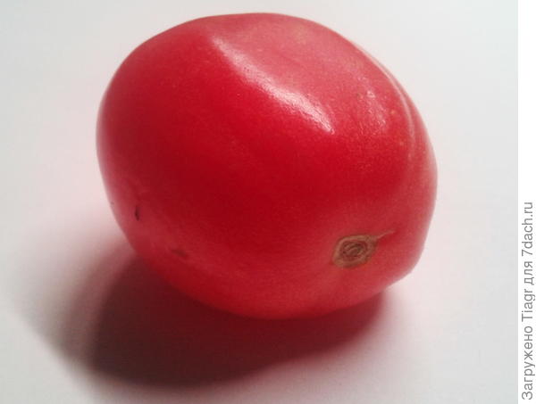 а это последняя из помидорок пересорта