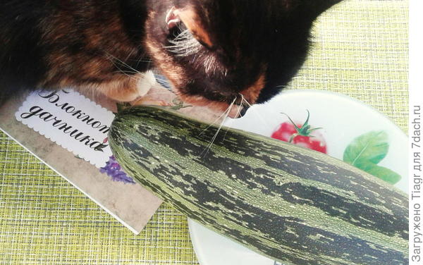 следила за взвешиванием)))