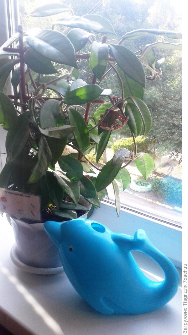 Вот пример использования