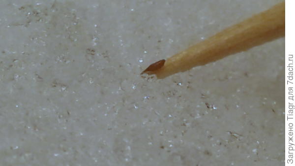 семена очень мелкие