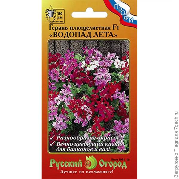 вот такая. Заказывала в Русском Огороде. 1 марта получила посылку и посеяла семена.