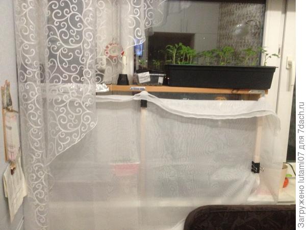 защита от кота :)