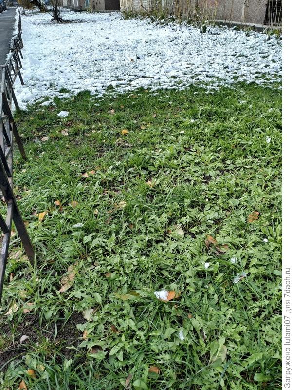 зима шла , но остановилась...