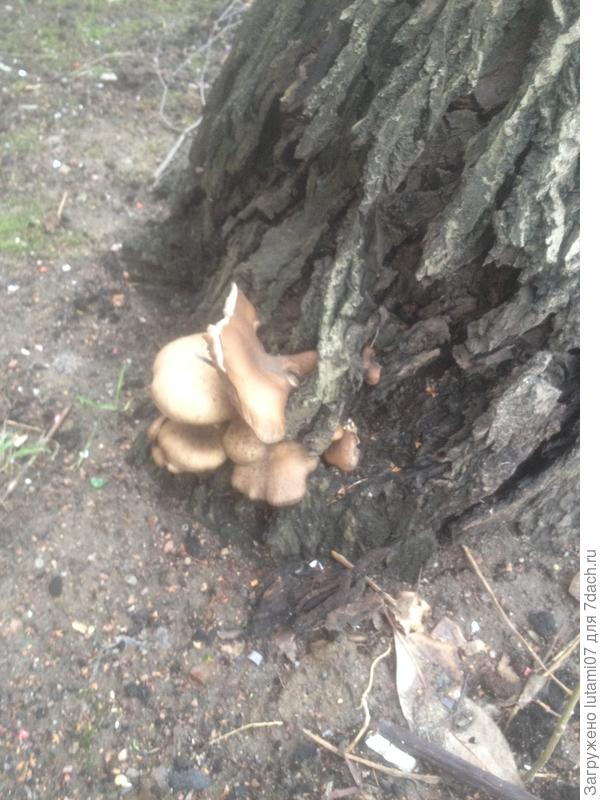 в городе . 18 января 2020 г