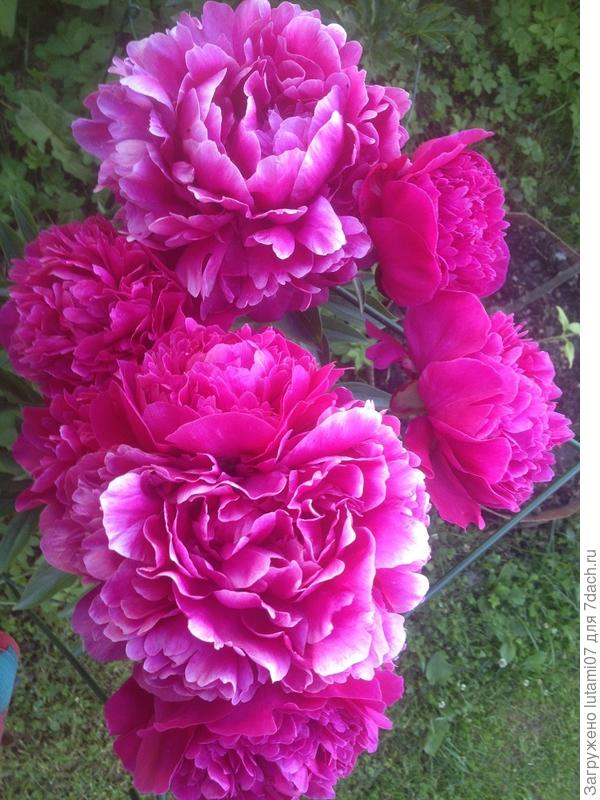 Поздравляю !