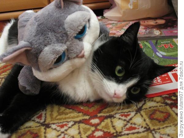 Мой любимый Кузя, но он уже не с нами...