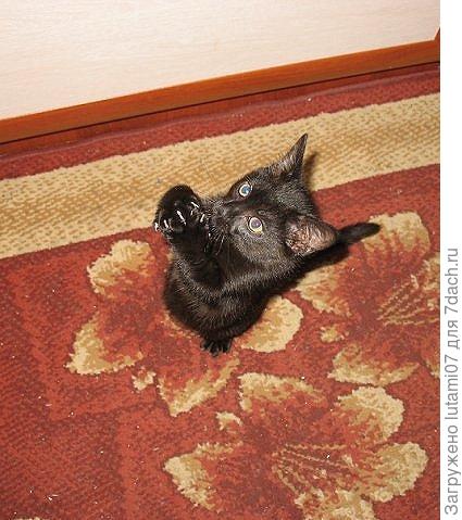 Прям бедный родственник...