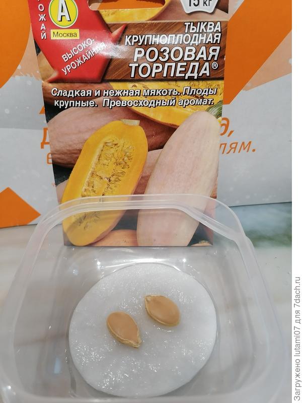 Семена