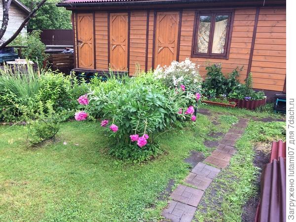 Вот такая дорожка была....