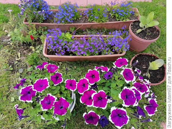 Вид с другой сторны