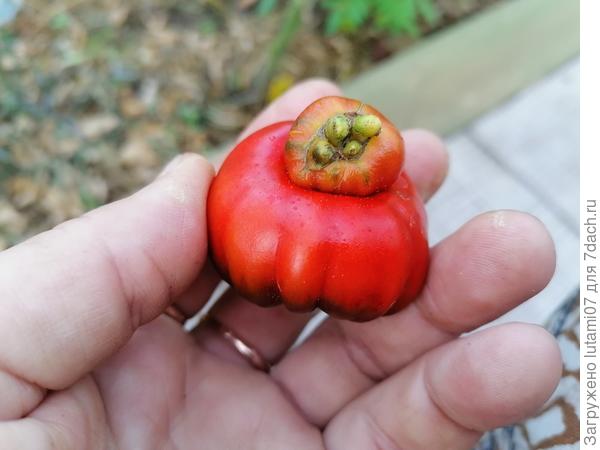 Как будто соцвктие из середины