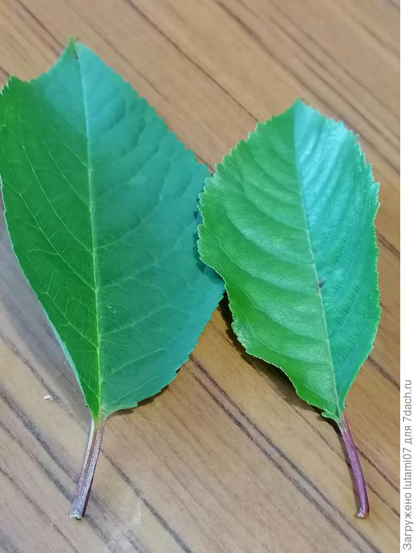 Разный размер