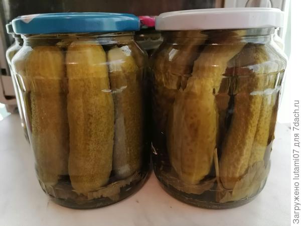 Маринованные огурцы