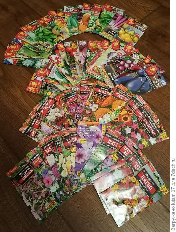 Разнообразие семян