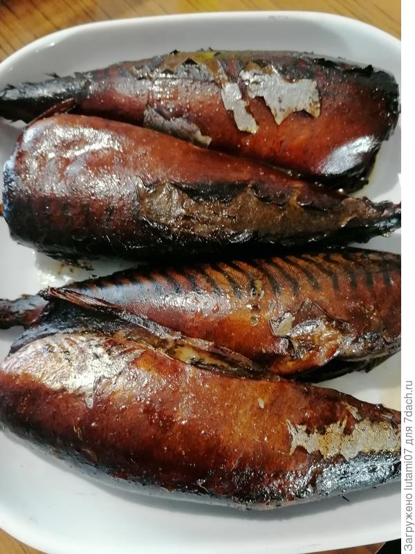 Копченая скумбрия