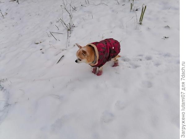 Зимой