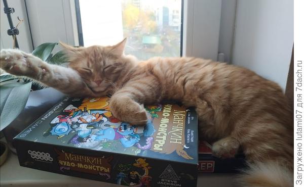 А сейчас красавец