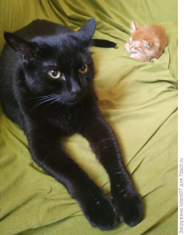 Вот такой малипуська был