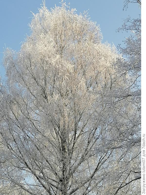 Небо чистейшее