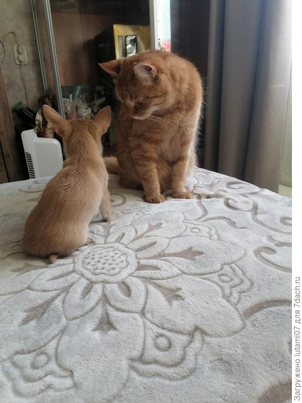 Ну что тебе сказать...