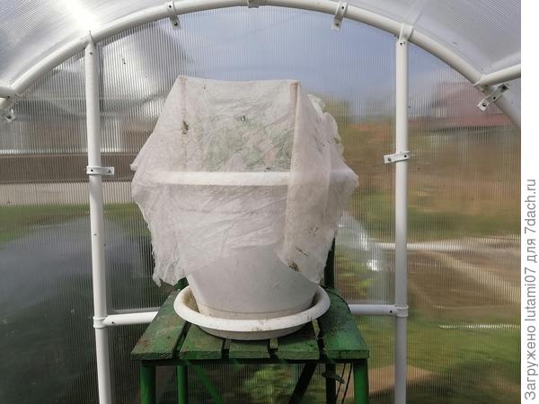 Притенила от солнца