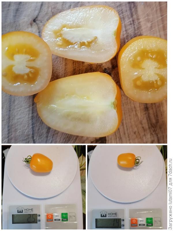 В разрезе и вес плодов