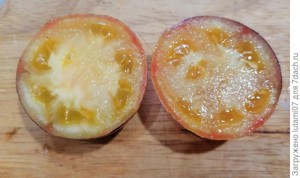 Томат в разрезе