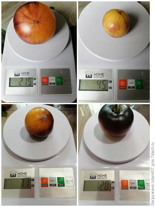 Разный вес плодов