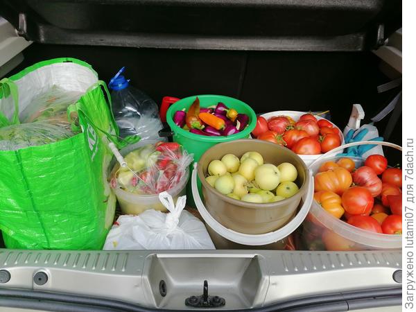 Я готова ради своей вкусноты