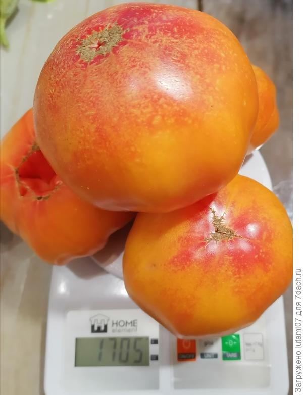 Они с этой стороны более красные