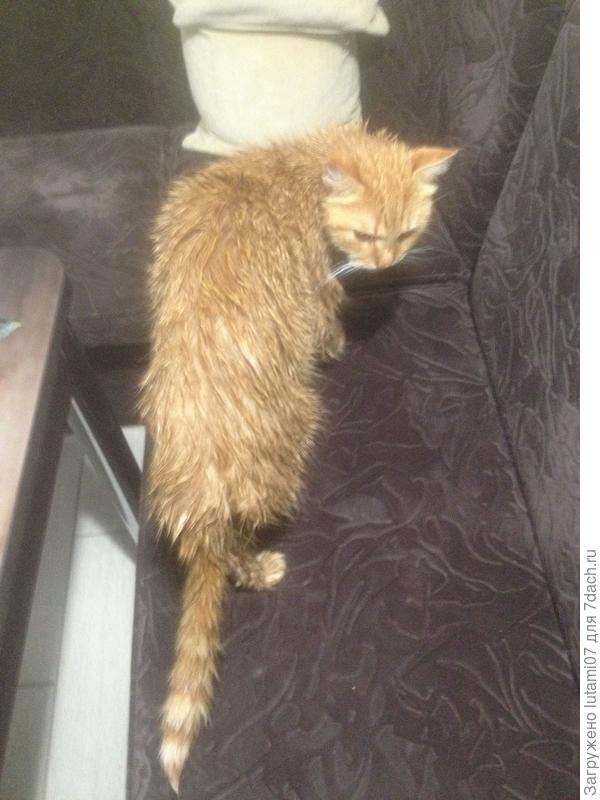 Ну да, помыли меня...