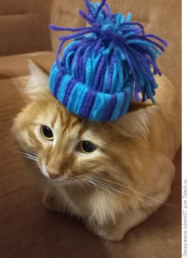 А шапочку приходится примерить...